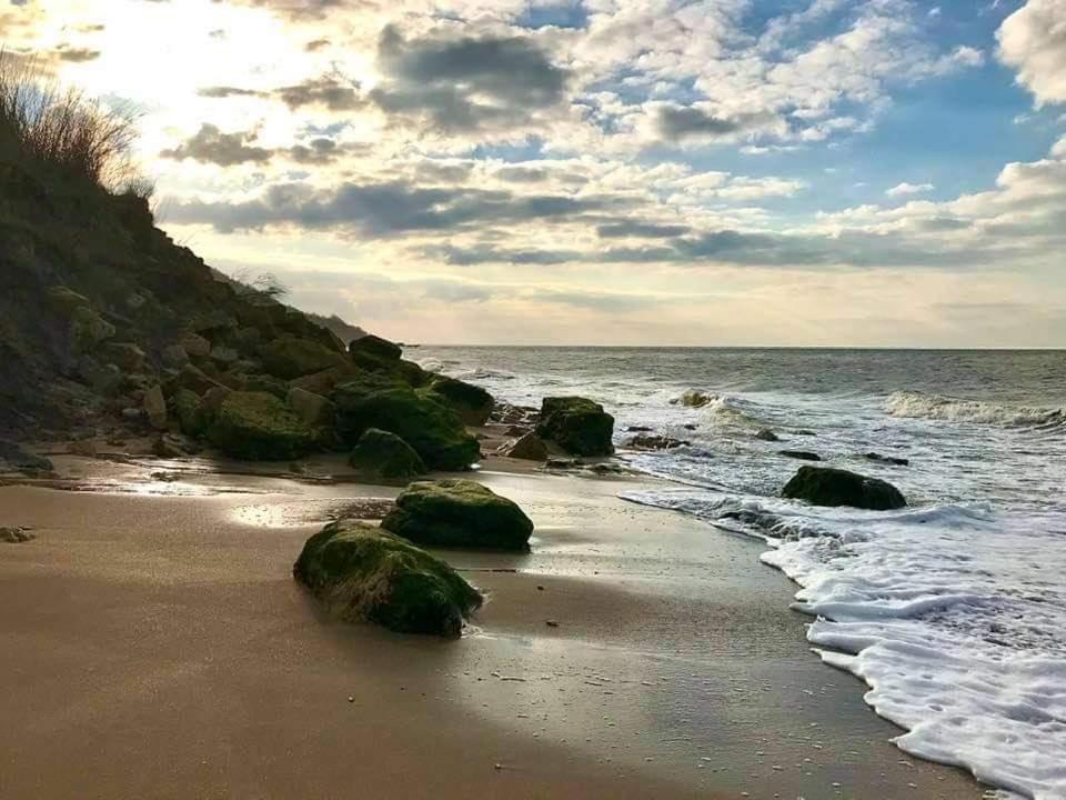 فيلي سور مير 2 Chambres, 50M Centre Ville Plage, Jardin Wifi المظهر الخارجي الصورة